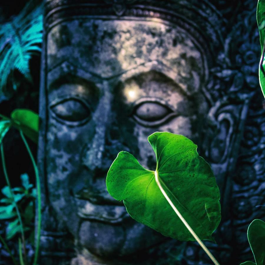 火山口别墅 沃尔卡诺 外观 照片